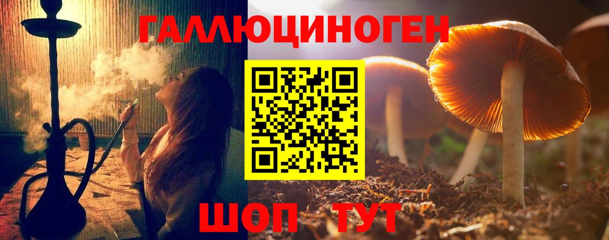 Псилоцибиновые грибы прущие грибы  Вход с VPN  Сергиев Посад 