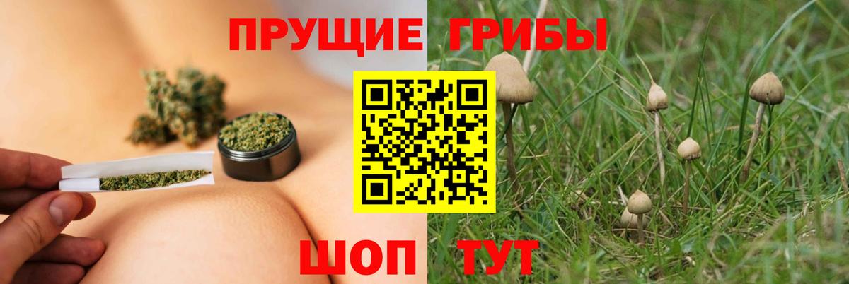 Галлюциногенные грибы ЛСД Сергиев Посад